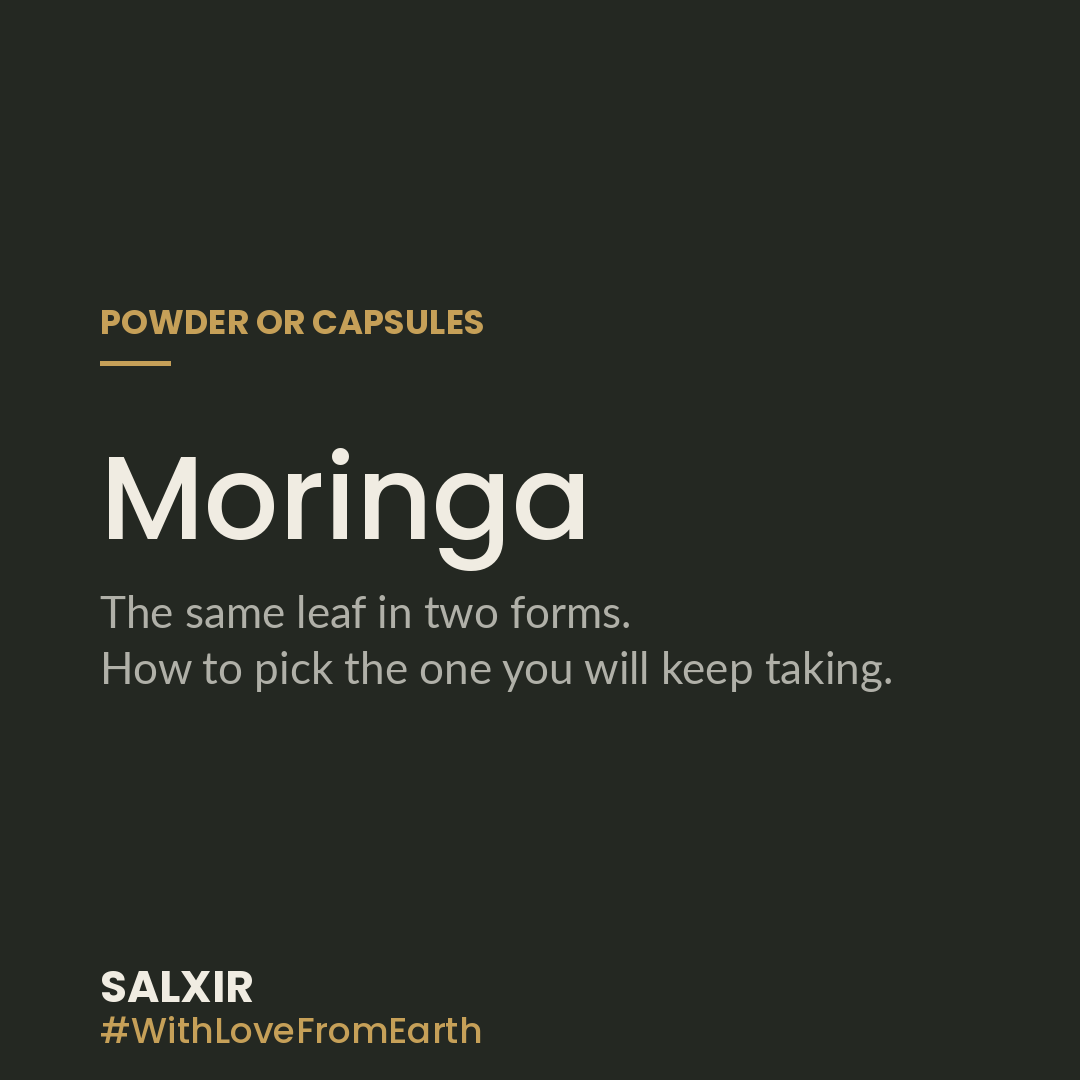 Dark green Salxir card with the heading Moringa and the words powder or capsules, the same leaf in two forms