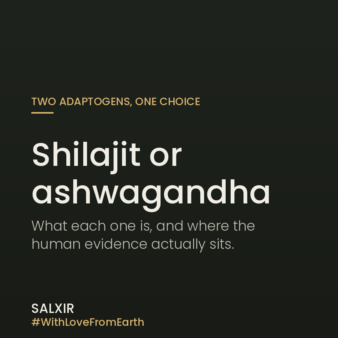 Dark green Salxir title card reading Shilajit or ashwagandha, two adaptogens one choice
